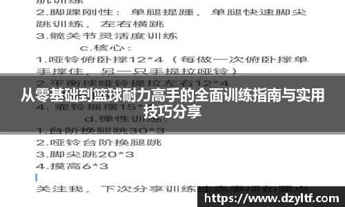 从零基础到篮球耐力高手的全面训练指南与实用技巧分享