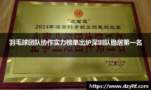 羽毛球团队协作实力榜单出炉深圳队稳居第一名