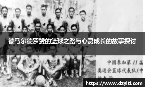 星空综合(中国)官方网站
