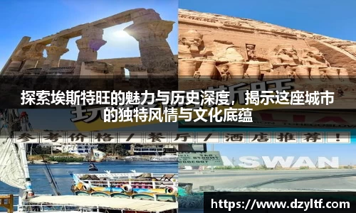 星空.综合体育官网